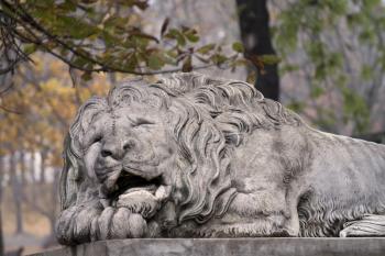 Lion statue on pedestal in Lviv, Ukraine
