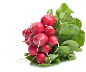 Royalty Free Photo of Fresh Radishes