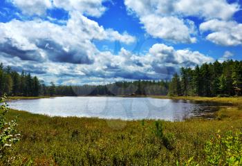 Royalty Free Photo of a Small Lake in a Forest