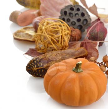 Pumpkin And Fall Items On White Background