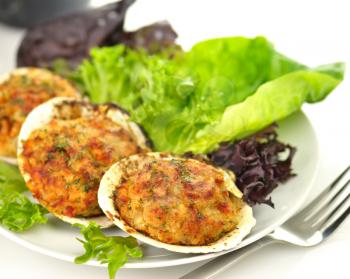 stuffed clams in a plate