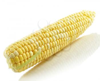 raw corn cob on white background, close up