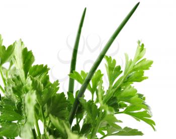 Leaves of parsley and chives 