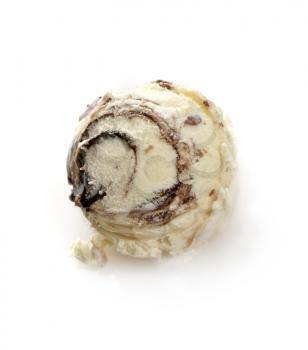 Vanilla Ice Cream With Chocolate And Brownies