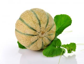 A fresh and delicious melon  with leaves  on white background 
