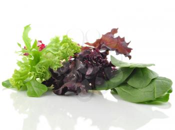 fresh salad leaves mix on white background