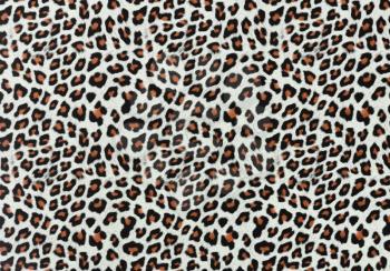 Leopard Spots Texture For Background 