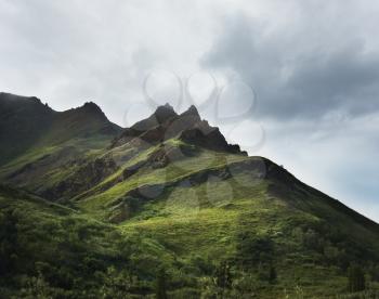 Alaska Landscape In Denali National Park