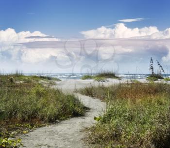 Sandy Path To The Beach