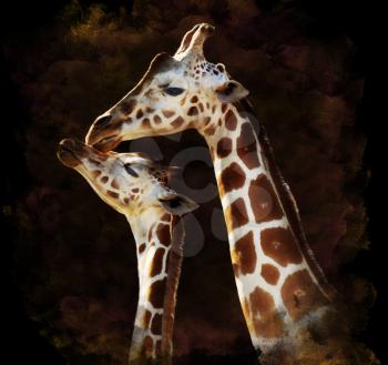 Watercolor Digital Painting Of  Mother And Baby Giraffes On Dark Background