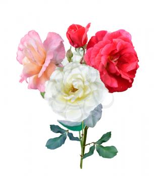 Digital Painting Of Rose Flowers