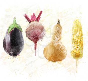Digital painting of fresh eggplant,beet,squash and sweet corn