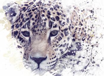 Digital Painting of Leopard Portrait