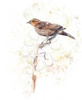 Digital Painting of  Brown Bird Perches on a Branch
