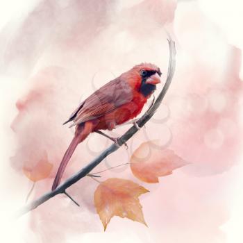 Male Northern Cardinal watercolor painting