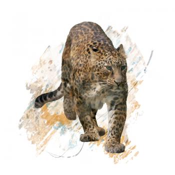 Walking Leopard watercolor
