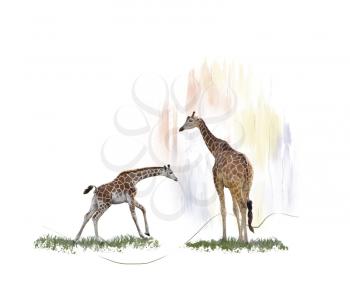 Digital Painting of  Two giraffes 