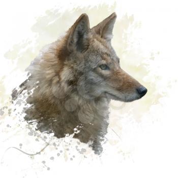 digital painting of coyote portrait