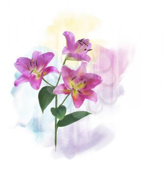 Digital Painting of  Pink Lily Flowers