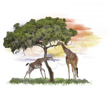 Digital Painting of  Giraffes near a tree