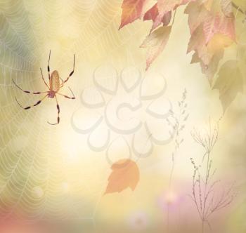 Autumn background with a spider and leaves
