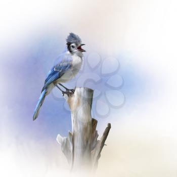Blue Jay bird perched,watercolor painting