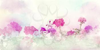 Spring floral composition made with  colorful flowers on light pastel background. Geranium flowers.