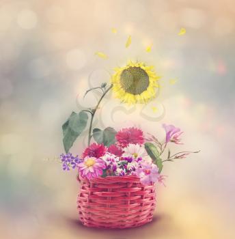 Colorful flowers in a basket