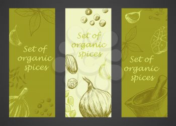 Hand drawn set of organic spices. Vector illustration