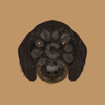 Cute black curly face of domestic puppy on brown background