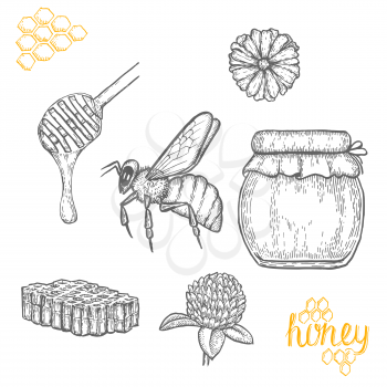 Honey making hand drawn vector illustration set. Honey jar, bee, honey stick, clower and honeycomb sketches isolated on white background.