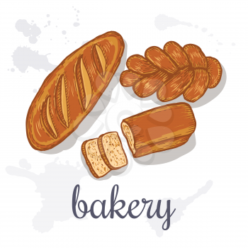 Hand drawn decorative fresh bread bakery . Vector Illustration.