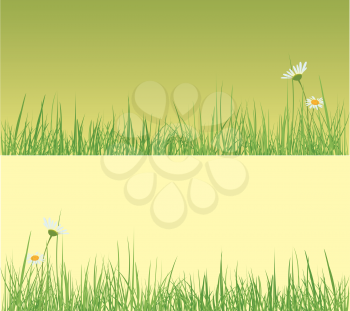 Royalty Free Clipart Image of Grass and Flowers