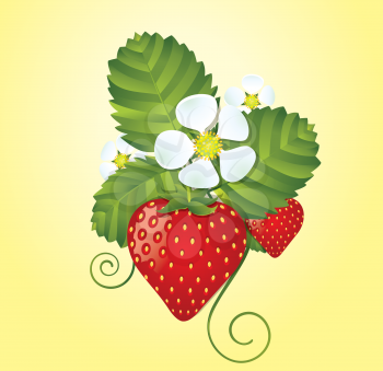 Strawberry floral background.
EPS10. Contains transparent objects used for shadows drawing.
