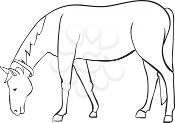 outline horse