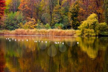 Autumn lake with beautiful reflections