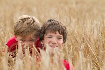 Cute young children in a wheat field