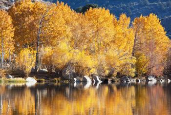 Royalty Free Photo of Autumn in Sierra Nevada