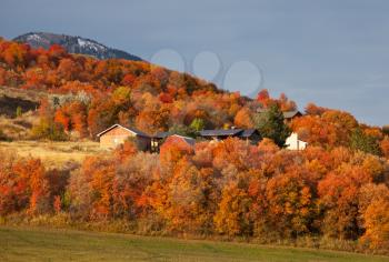 Royalty Free Photo of a Farm and Forest in Autumn
