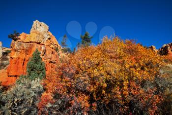 Royalty Free Photo of a Mountain in Autumn