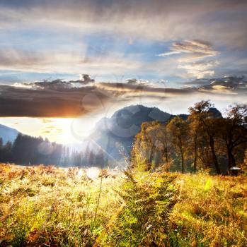 Royalty Free Photo of Yosemite National Park