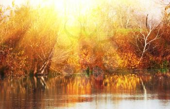 Royalty Free Photo of a Rural Lake Landscape