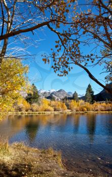 Royalty Free Photo of a Lake in Autumn