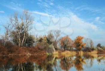 Royalty Free Photo of a Rural Landscape on a Lake
