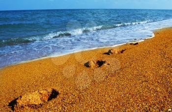 Royalty Free Photo of Footprints on a Beach