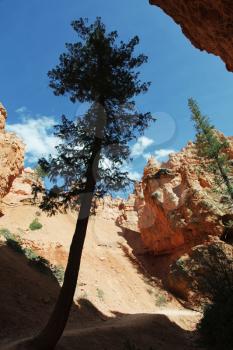 Royalty Free Photo of a Bryce Canyon