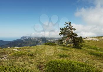 Royalty Free Photo of a Crimean Mountain in the Summer