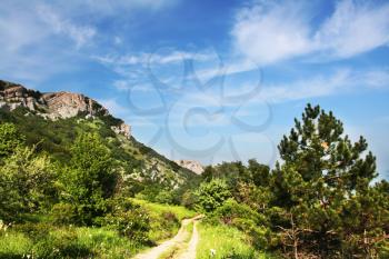 Royalty Free Photo of a Roadway in the Crimean Mountain