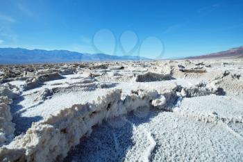 Royalty Free Photo of Dead Valley in Namibia