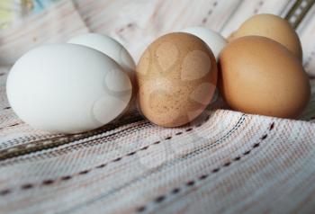Royalty Free Photo of Eggs